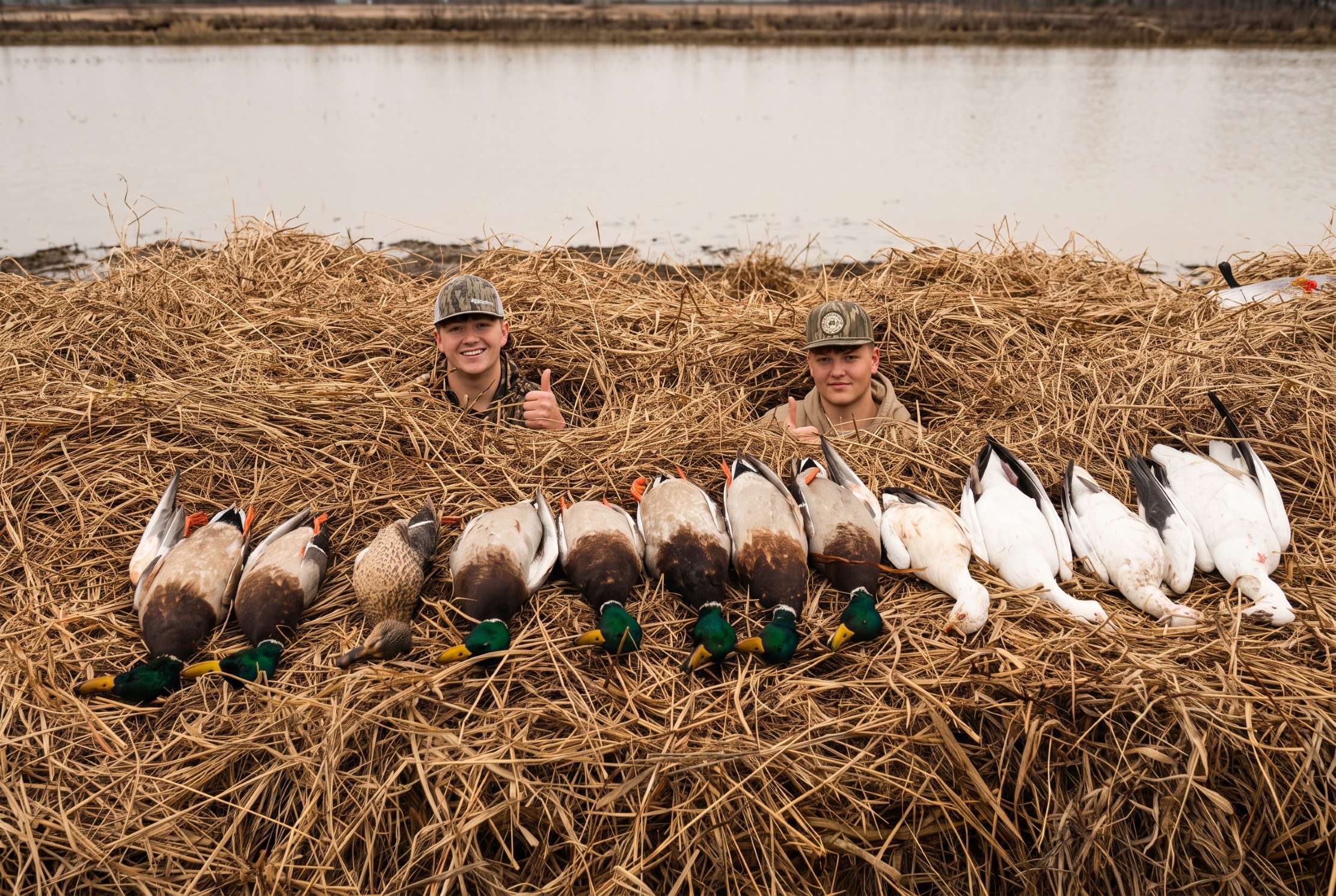 Hunting photo